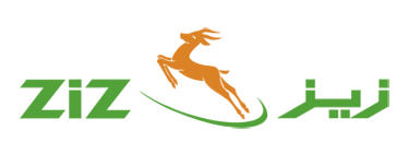 Logo Ziz